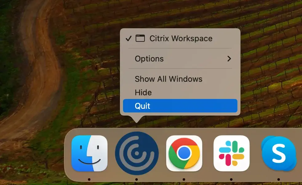 quit citrix from dock