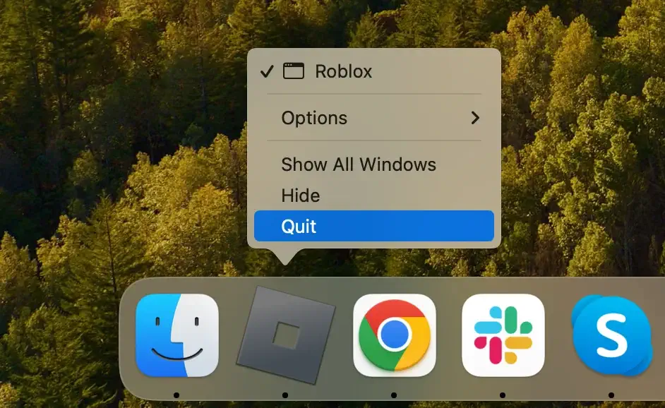 quit the roblox application from dock